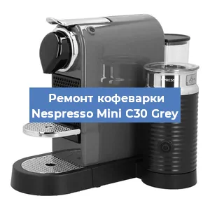 Ремонт капучинатора на кофемашине Nespresso Mini C30 Grey в Воронеже